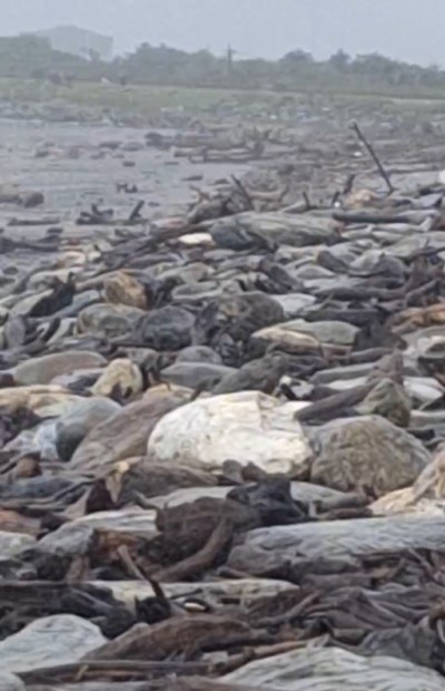 鳳凰颱風來襲花蓮啟動防災整備　撿拾公告同步終止